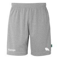 Kempa Academy Shorts Herren grau Academy-Druck S