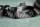 Mantahari Fanny Pack Night Dive 2.0