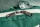 Mantahari Fanny Pack Kelp Forest